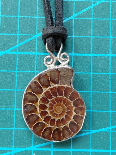 Sterling silver ammonite - sterling,