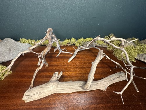 Pack manzanita driftwood - 3,