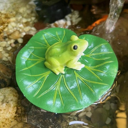 Frog and floating - water, lily