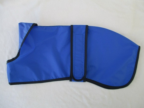 Clearance 43cm whippet - clearance, 17"