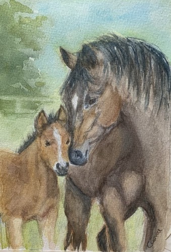Watercolour painting a - watercolour,