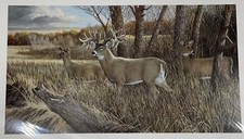 Ron Van Gilder The Missouri