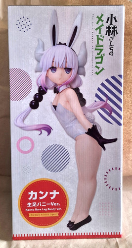 Freeing miss kobayashi - miss, kobayashi's