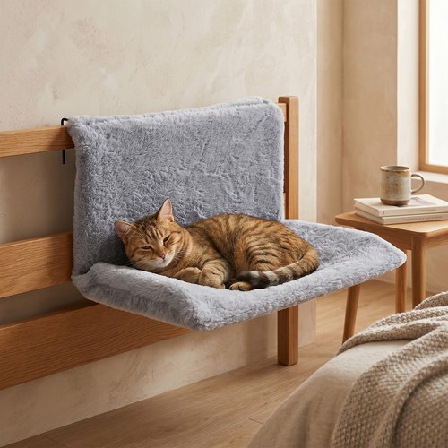 Cat dog cosy - cosy, bed