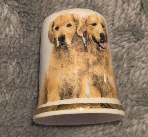 Vintage golden retrievers bone - retrievers,