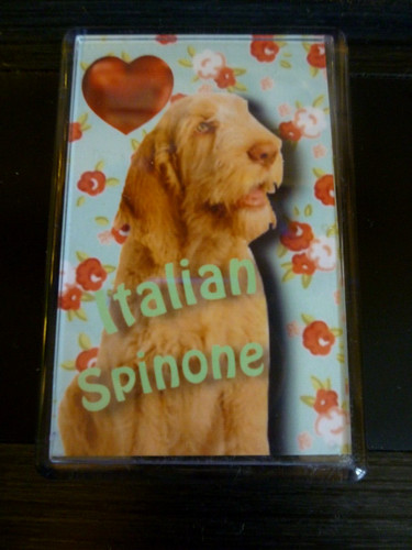 Italian spinone gift dog - italian,