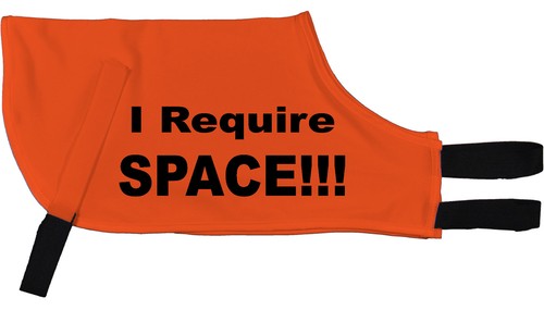 Require space greyhound coat - i,