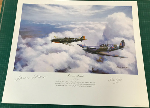 Wwii fighter planes print - planes,