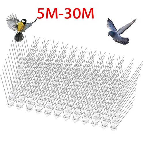 30m pigeon bird - 5m,