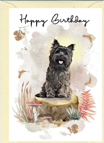 Cairn terrier dog - cairn,
