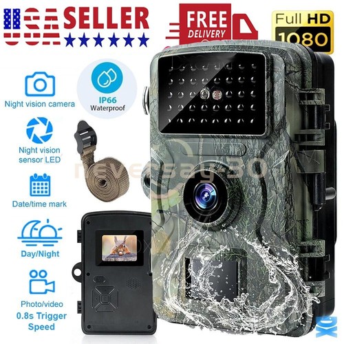 Wildlife hunting trail camera - wildlife,