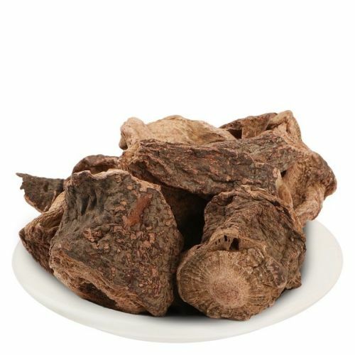 Salvia haematodes root behman - salvia,
