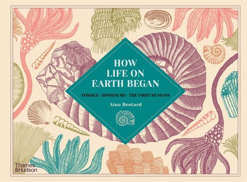 How life earth began - how,