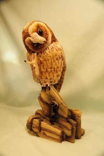 Teviotdale birds large tawny - teviotdale, birds-large