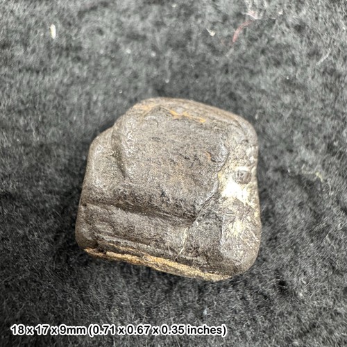 Whitby jet fossil - tree, resin