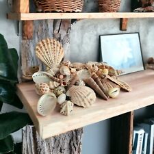 Mixed Sea Shells Beach Craft