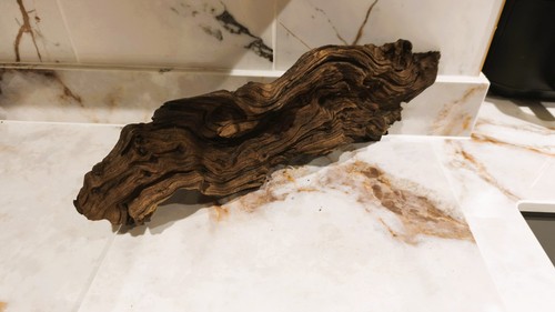 Medium large mopani wood - medium/large,