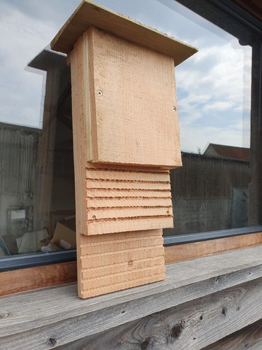 Handmade double bat roosting - bat,