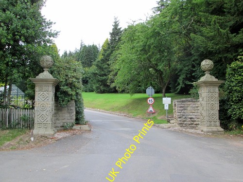 Photo 12x8 entrance - photo, to