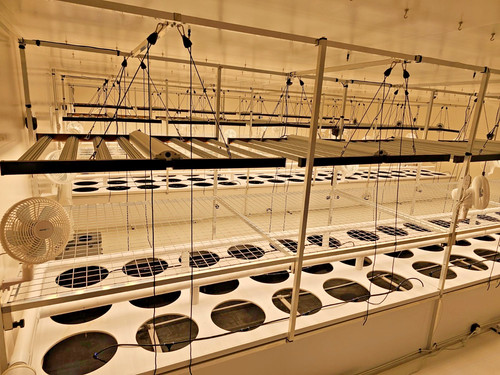 Aeroponic hydroponic - aeroponic,