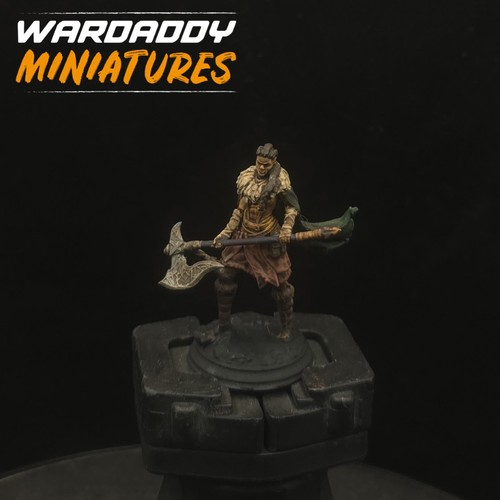 Pro painted dungeons dragons - dungeons, &