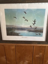 PETER SCOTT MALLARDS JUMPING DUCK GEESE FRAMED ART PRINT 1953 HOLT & COMPANY