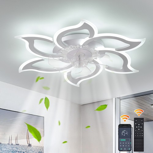 Modern led ceiling fan - ceiling,