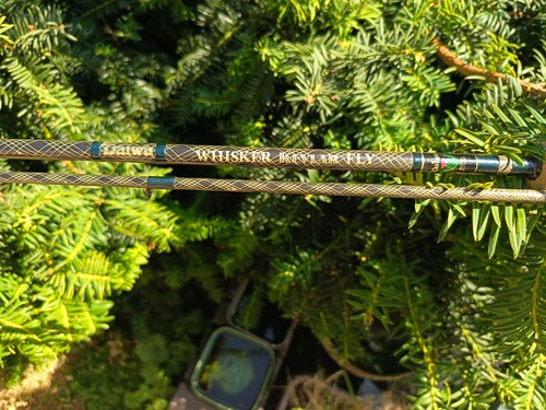 Daiwa whisker 10wt fly - 8/10wt, rod