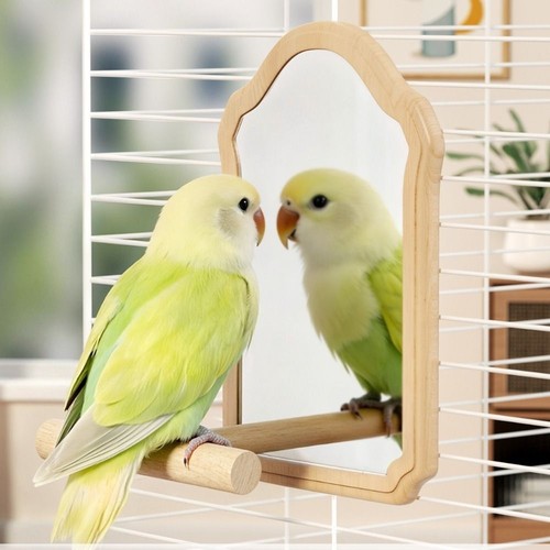 Wooden bird mirror perch - mirror,