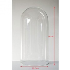 EMH Large Glass Dome Display