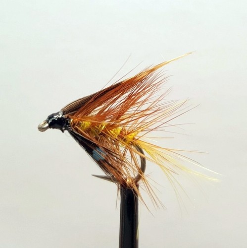 Invicta wet trout - 3, x