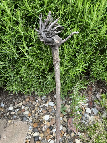 53cm long driftwood piece sea - 53cm,