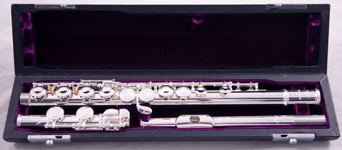 Trevor james 10xe - 10xe-p, flute