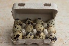 Henpac Quail 12-Egg Egg Boxes