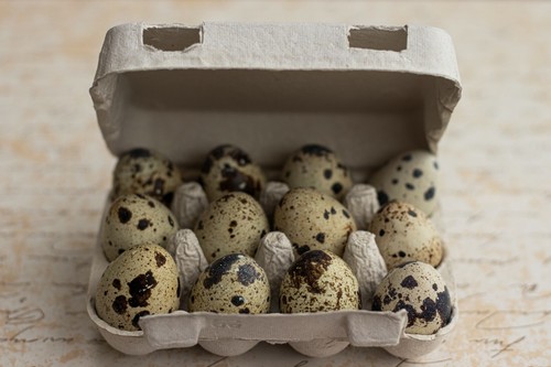 Henpac quail egg boxes - 12-egg,