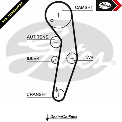 Cam timing belt for - cam, vw