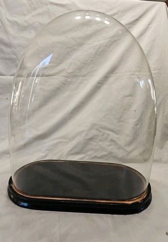 Large antique glass dome - large,