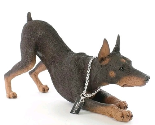 Gorgeous vintage doberman - vintage,