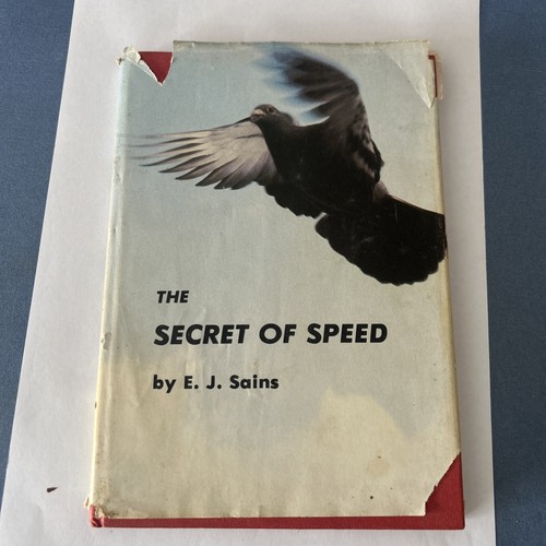 Racing pigeons the secret - pigeons,