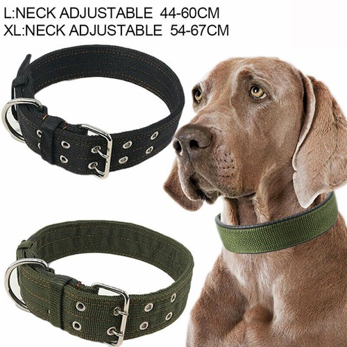 Heavy duty large dog - duty, collar