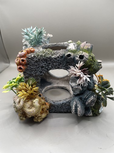 Aquarium coral cube - aquarium,