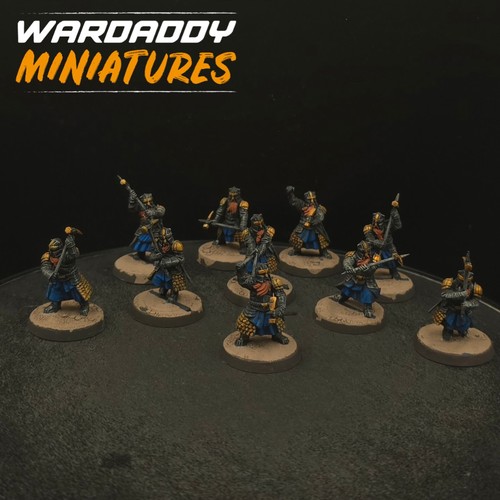 Pro painted warhammer lotr - pro,
