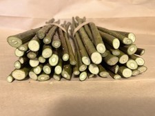 100 willow cuttings Salix