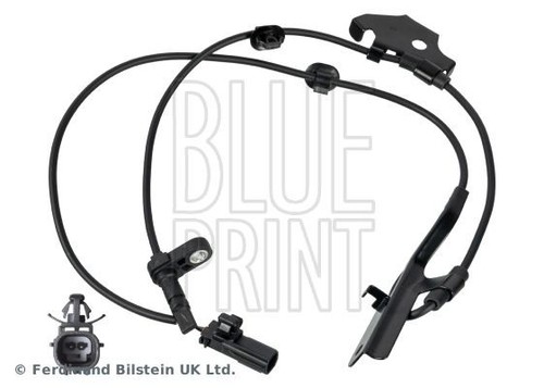 Blue print front - blue, right