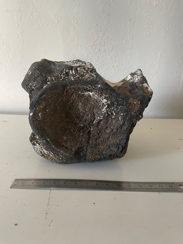 Huge cervical vertebra from - cervical, an