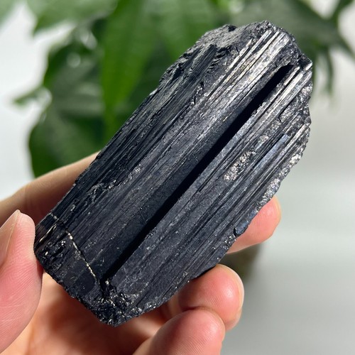 131g rough natural black - rough,