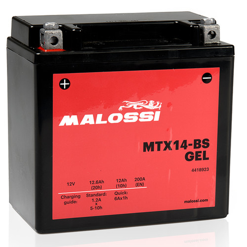 Battery malossi ytx14 - battery,