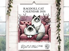 Ragdoll Cat Calendar 2026-Cat Calendar-Wall Calendar 2026-Cute Cat Calendar