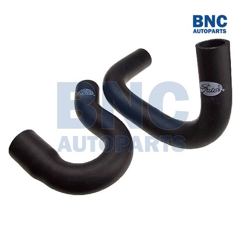 Upper and lower radiator hoses - radiator,