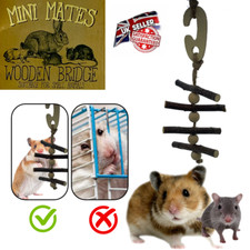 Pet Small Animal Accessories
